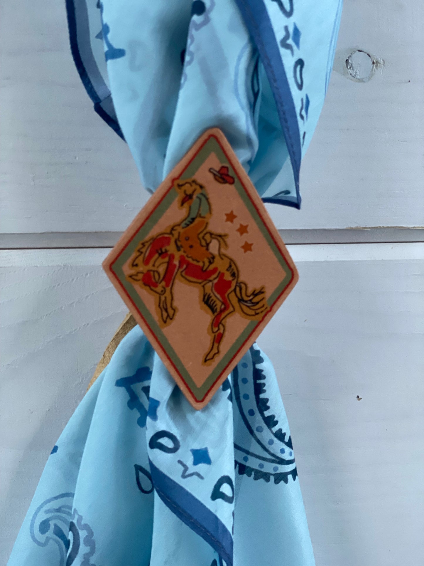 Cowboy Argyle Scarf Slide