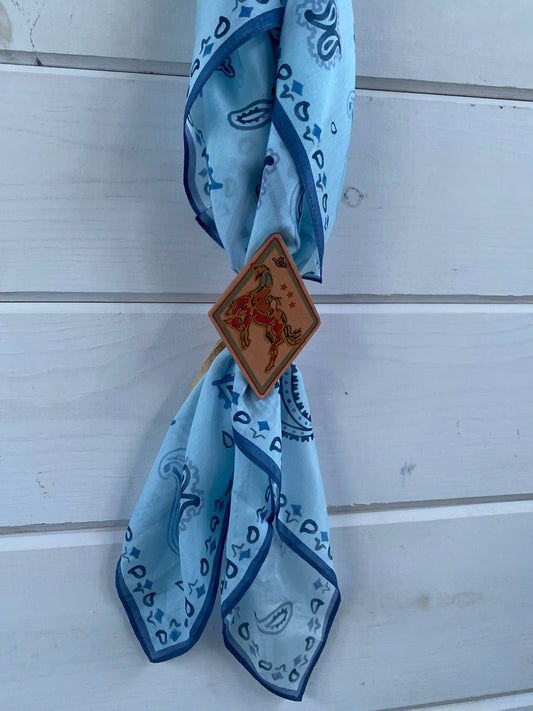 Cowboy Argyle Scarf Slide