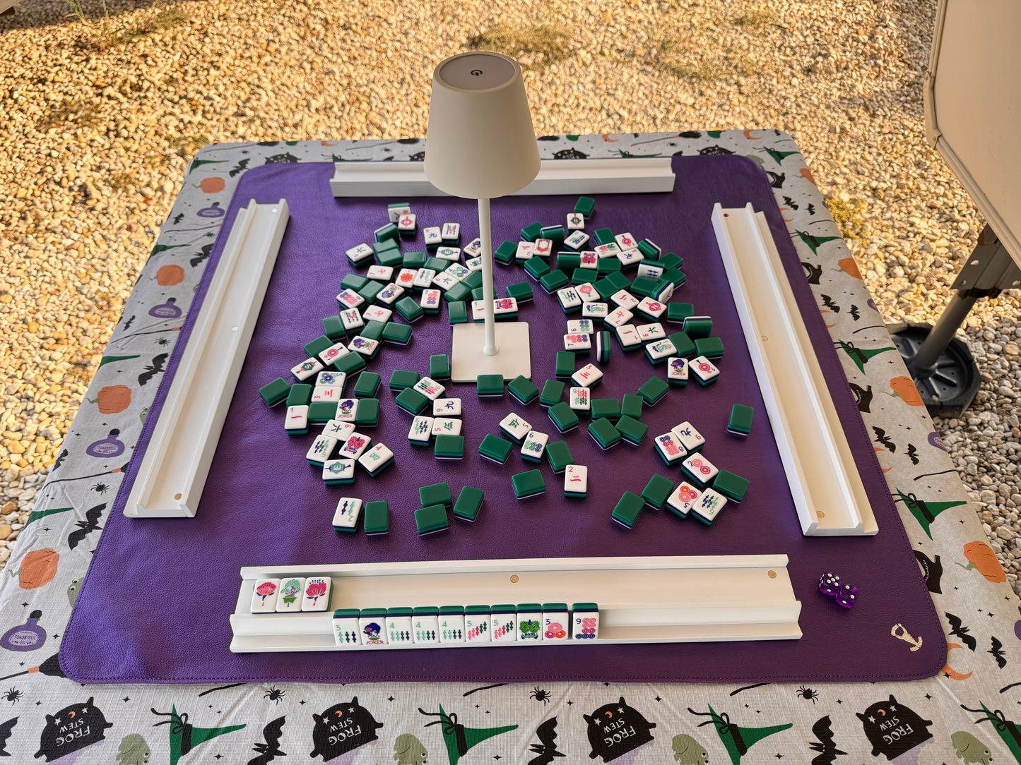 Custom Mahjong Set
